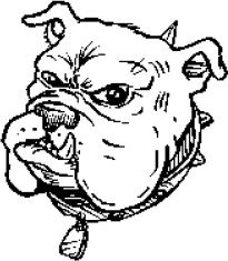 image bulldog-07-jpg