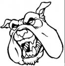 image bulldog-03-jpg