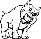 image bulldog-04-jpg