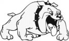Bulldogs