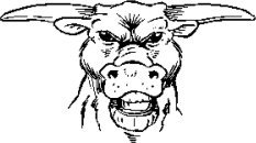 image bull-02-jpg