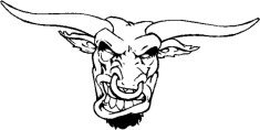 image bull-06-jpg