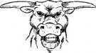 image bull-02-jpg