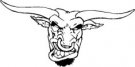 image bull-06-jpg