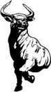 image bull-07-jpg