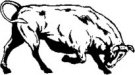 image bull-08-jpg