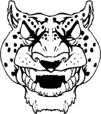 image cheetah-03-jpg
