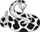 image snake-07-jpg