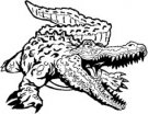 image gator-05-jpg