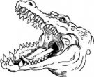 image gator-09-jpg