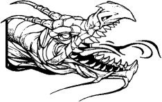 image dragon-02-jpg