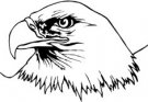 Eagles