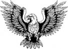 image eagle-15-jpg