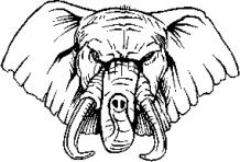 image elephant-01-jpg