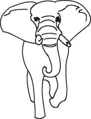 image elephant-04-jpg