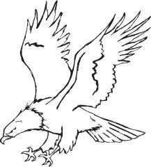 image eagle-20-jpg