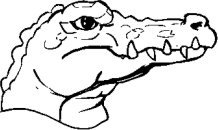 image gator-02-jpg