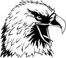 image eagle-13-jpg