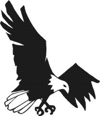 image eagle-18-jpg