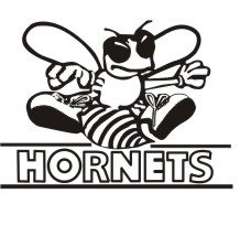 image hornet-01-jpg