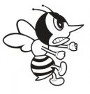 image hornet-02-jpg