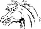 image horse-09-jpg