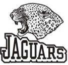 Jaguars