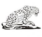 image jaguar-08-jpg