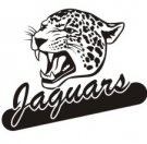 image jaguar-10-jpg
