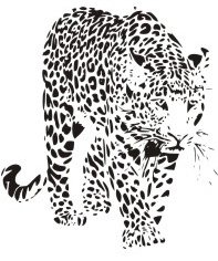 image leopard-10-jpg