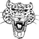 image leopard-02-jpg
