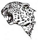 image leopard-09-jpg