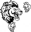 Lions