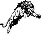 image lion-06-jpg