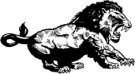 image lion-08-jpg