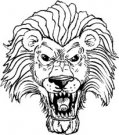 image lion-11-jpg