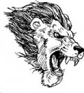 image lion-14-jpg