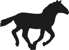 image horse-14-jpg