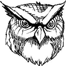 image owl-02-jpg