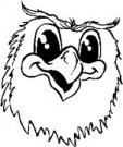 image owl-01-jpg