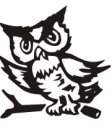 image owl-05-jpg