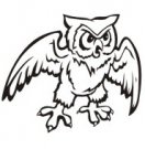 image owl-07-jpg