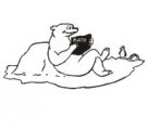 Polar Bears