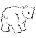 image polarbear-05-jpg