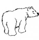 image polarbear-06-jpg