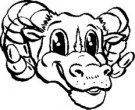 Rams