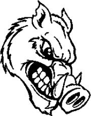 image razorback-03-jpg