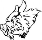 image razorback-02-jpg