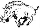 image razorback-05-jpg