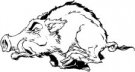 Razorbacks